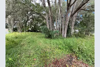 Se 99 Terrace SE, Summerfield, FL 34491 - Photo 1