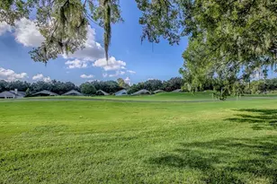 3016 Andover Ct, Mount Dora, FL 32757 - Photo 34