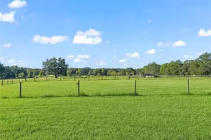 99-26 SE Sunset Harbor Rd, Summerfield, FL 34491 - Photo 34