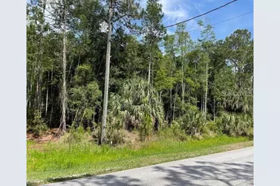 Thunderhead Street, Wesley Chapel, FL 33544 - Photo 1