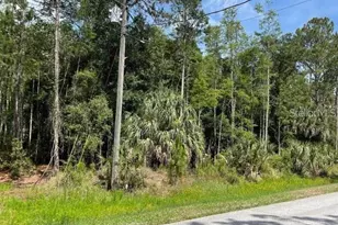 Thunderhead St, Wesley Chapel, FL 33544 - Photo 1