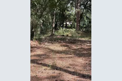 Thunderhead Street, Wesley Chapel, FL 33544 - Photo 2