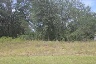 823 E Dellbrook Ln, Dunnellon, FL 34434 - Photo 1