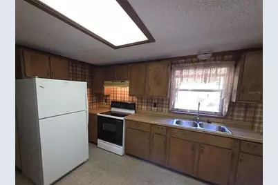 24089 NE 152nd Lane, Salt Springs, FL 32134 - Photo 4