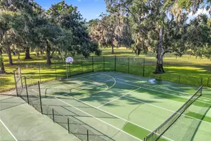 24214 Marbella Dr, Sorrento, FL 32776 - Photo 88