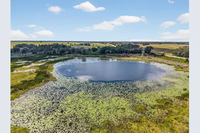 County Road 48, Groveland, FL 34736 - Photo 2