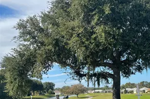 507 Cottage Park Ln, Leesburg, FL 34748 - Photo 26