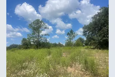 Tbd Keene Road, Umatilla, FL 32784 - Photo 2