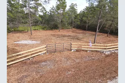 Kentucky Street, Paisley, FL 32767 - Photo 4