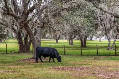 41812 Catbrier Lane, Umatilla, FL 32784 - Photo 60