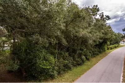 Interlachen Drive, Mount Plymouth, FL 32776 - Photo 2