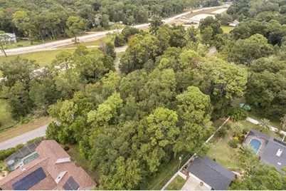 Interlachen Drive, Mount Plymouth, FL 32776 - Photo 10