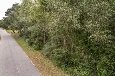 Interlachen Drive, Mount Plymouth, FL 32776 - Photo 14