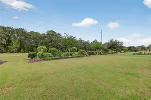 8464 Bridgeport Bay Cir, Mount Dora, FL 32757 - Photo 46