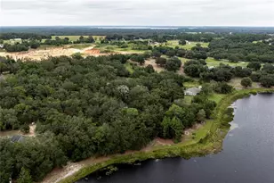 10135 N Em En El Grove Rd, Leesburg, FL 34788 - Photo 8