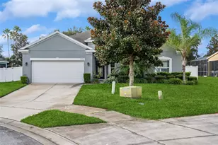 2496 Plumadore Dr, Grand Island, FL 32735 - Photo 1