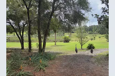 17755 SE 283rd Avenue, Umatilla, FL 32784 - Photo 50