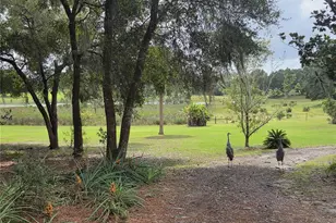 17755 SE 283rd Ave, Umatilla, FL 32784 - Photo 50