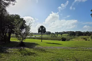 17755 SE 283rd Ave, Umatilla, FL 32784 - Photo 8