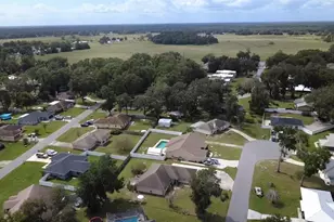 1022 Cr 463B, Lake Panasoffkee, FL 33538 - Photo 30