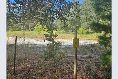 45070 Wild Acres Trail, Paisley, FL 32767 - Photo 24