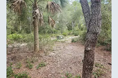 45070 Wild Acres Trail, Paisley, FL 32767 - Photo 14