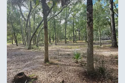 45070 Wild Acres Trail, Paisley, FL 32767 - Photo 8