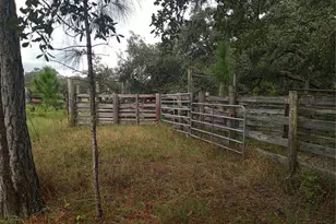 1649 Sail Ln, Kissimmee, FL 34759 - Photo 22