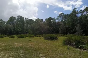 1649 Sail Ln, Kissimmee, FL 34759 - Photo 12