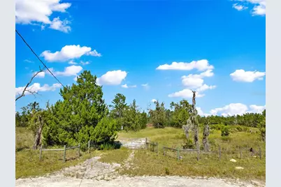 12891 SE 71st Street, Morriston, FL 32668 - Photo 4