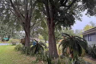 651 J W Jones Rd, Winter Garden, FL 34787 - Photo 32