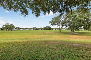 1715 Lilly Ln, Lady Lake, FL 32159 - Photo 26