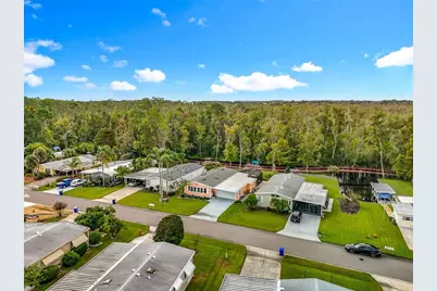 3233 Myakka River Road, Tavares, FL 32778 - Photo 74