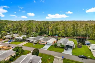 3233 Myakka River Rd, Tavares, FL 32778 - Photo 74