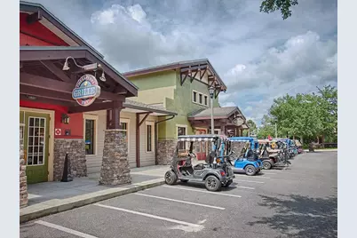 26689 Otter Creek Lane, Leesburg, FL 34748 - Photo 58