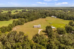 13343 Cr 727, Webster, FL 33597 - Photo 32