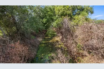 13343 Cr 727, Webster, FL 33597 - Photo 30