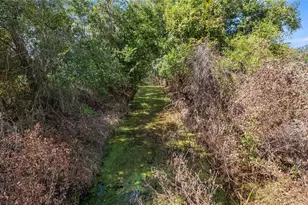 13343 Cr 727, Webster, FL 33597 - Photo 30