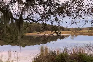 6639 Lake Emma Rd, Groveland, FL 34736 - Photo 26