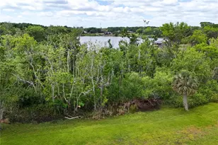 17728 Palm View Cir, Mount Dora, FL 32757 - Photo 56