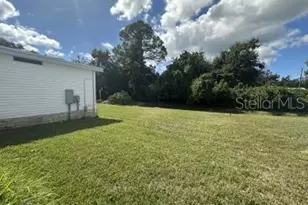 3530 Manatee Rd, Tavares, FL 32778 - Photo 28