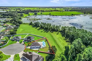 23802 Pine Gulch Ct, Leesburg, FL 34748 - Photo 48