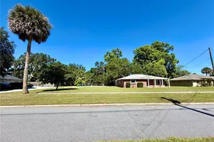 208 Palm Way, Tavares, FL 32778 - Photo 42