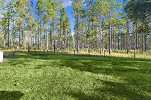 21 Malauka Pass Trail, Ocklawaha, FL 32179 - Photo 34