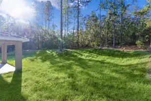 7957 N Primrose Dr, Citrus Springs, FL 34434 - Photo 34