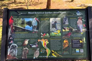 1250 S Denning #122 St, Winter Park, FL 32789 - Photo 20