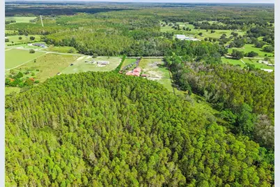 8449 Bay Lake Road, Groveland, FL 34736 - Photo 4