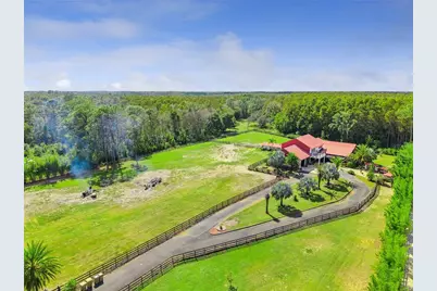 8515 Bay Lake Road, Groveland, FL 34736 - Photo 4