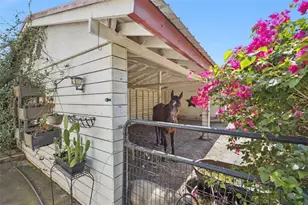 8515 Bay Lake Rd, Groveland, FL 34736 - Photo 44