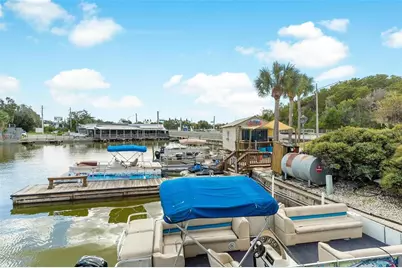 1006 W Burleigh Boulevard, Tavares, FL 32778 - Photo 4
